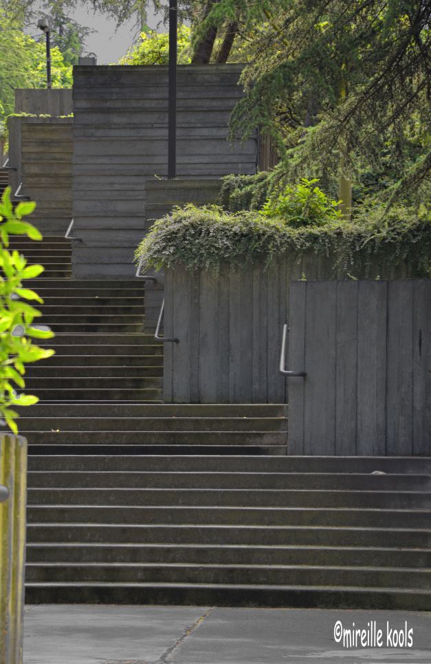 Seattle Stairs